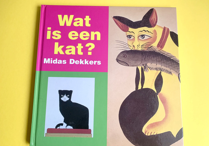 Wat is een kat?