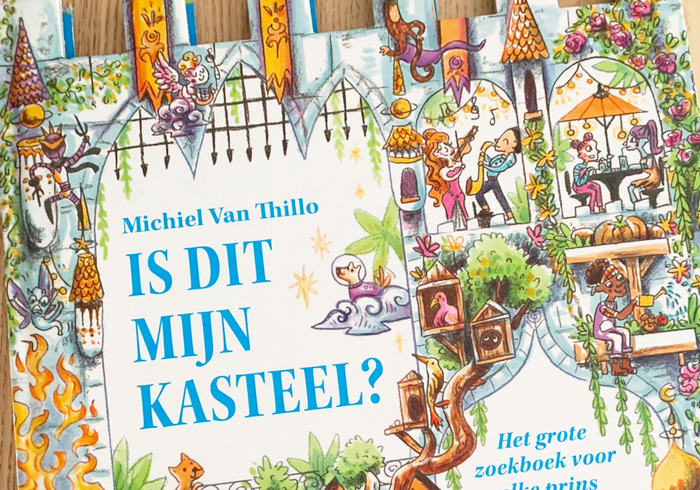 Is dit mijn kasteel?