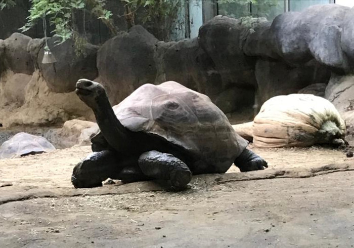Diergaarde Blijdorp