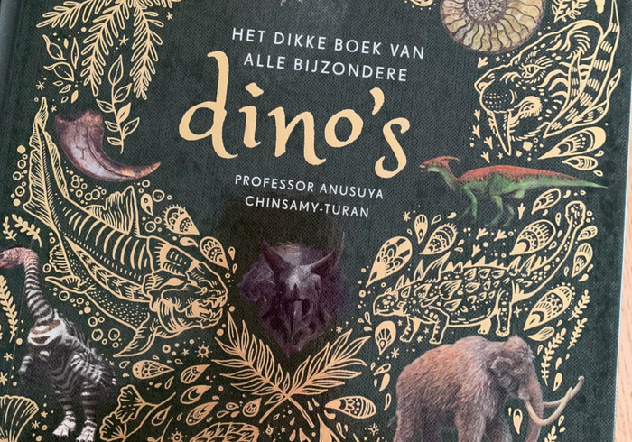 Het dikke boek 