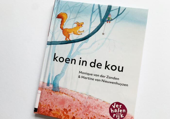 Koen in de kou