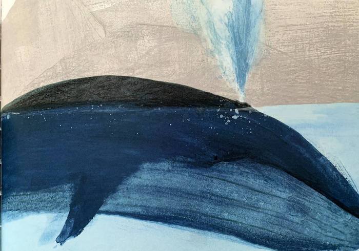 De blauwe vinvis