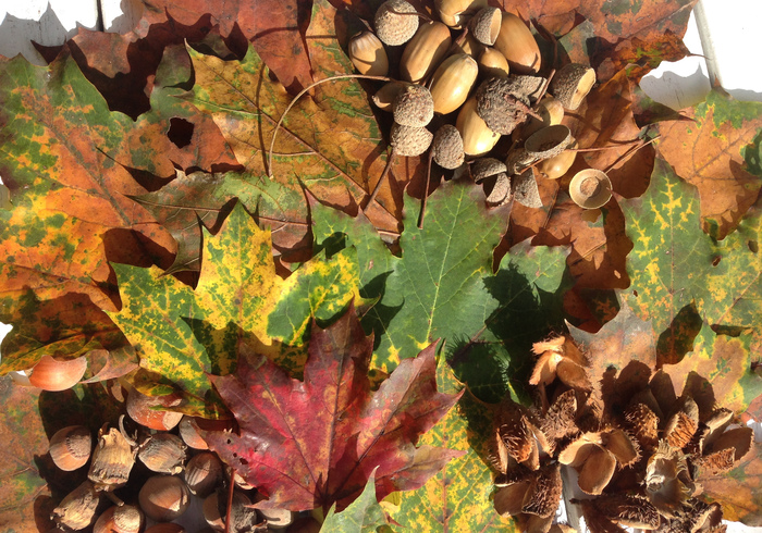 Het is herfstvakantie!