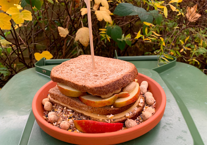 Maak een tosti voor de vogels 
