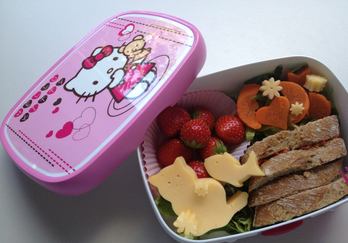 De Japanse Bento