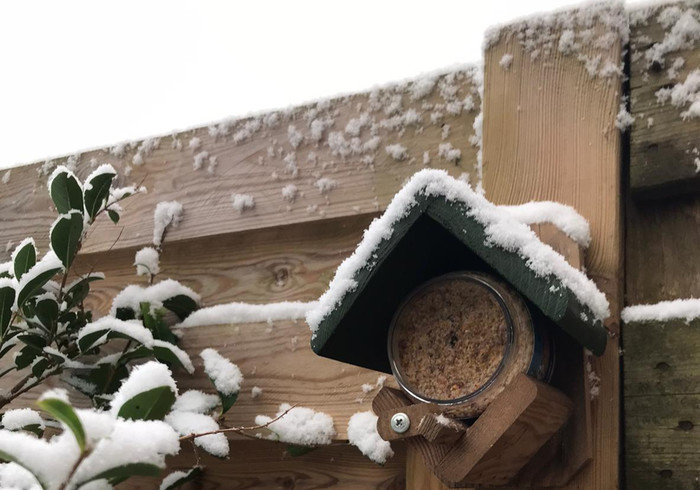 De tuin in januari