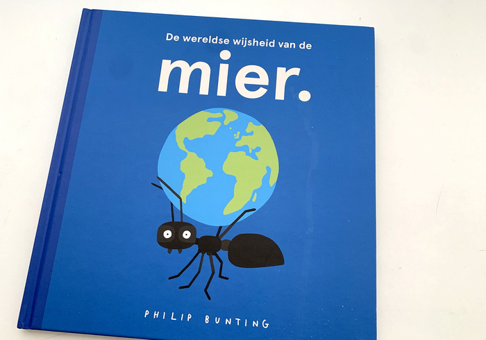 De wereldse wijsheid