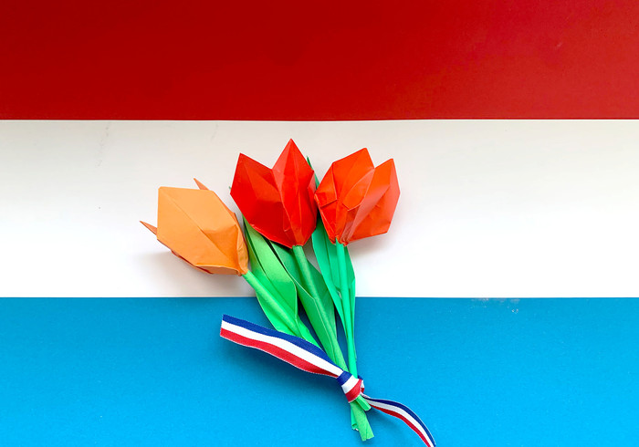 Origami Tulips