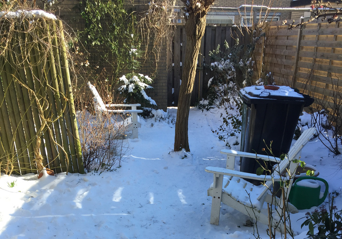 De februari-tuin