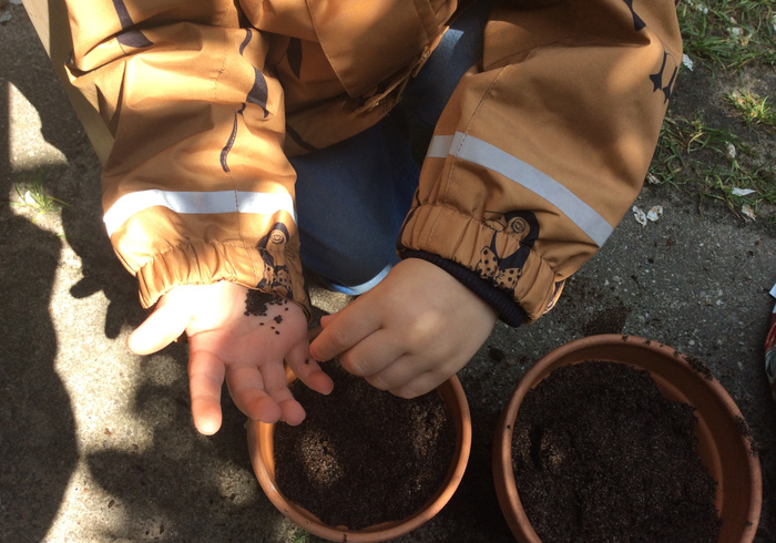 Onze moestuin
