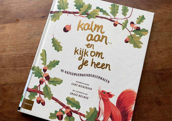 Kalm aan...en kijk om je heen