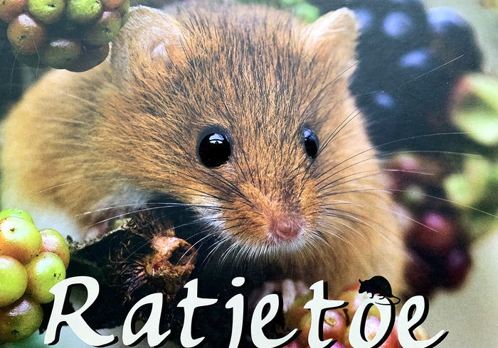 Ratjetoe