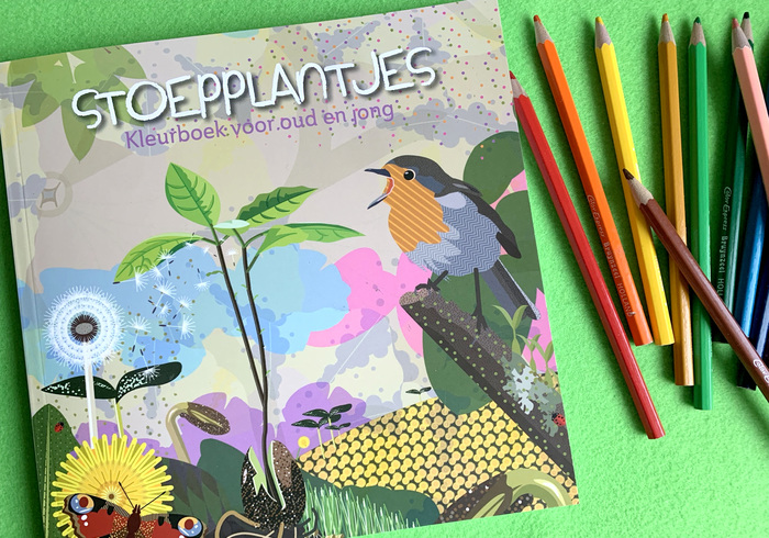 Stoepplantjes Vll