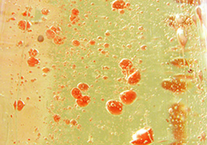 Cool experimentje 