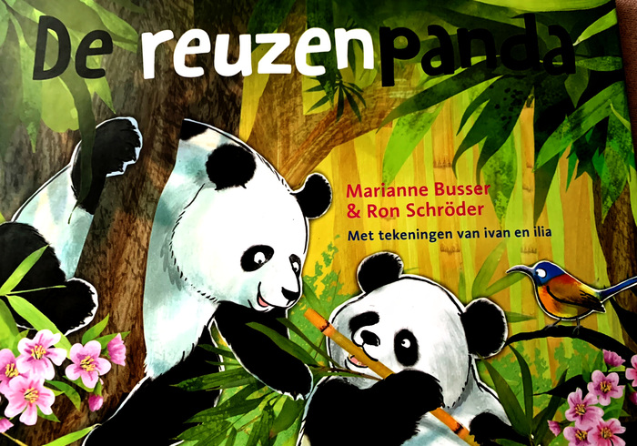 De Reuzenpanda