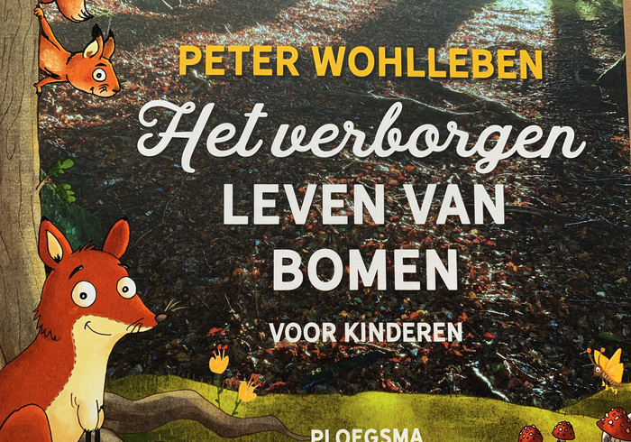 Het verborgen leven van bomen