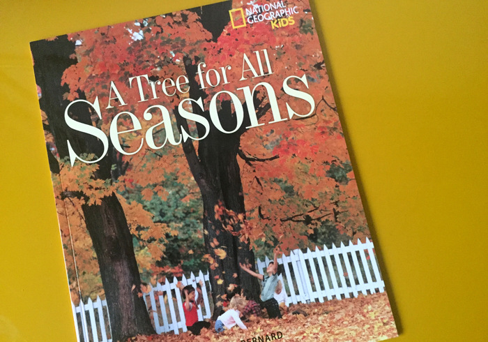 A tree for all seasons
