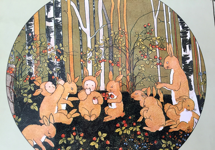 The Story of the Rabbit Children