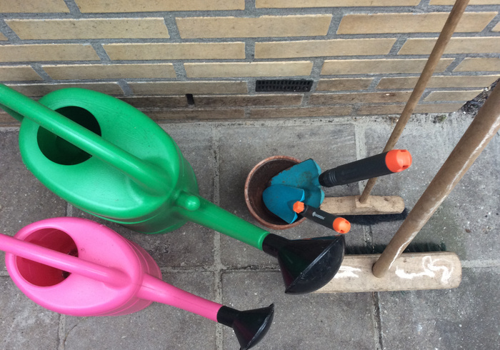 Onze moestuin 