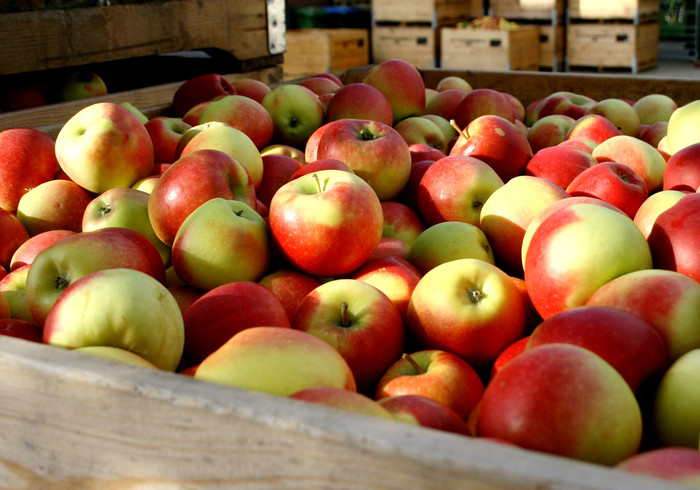 Herfstvakantie! Wat gaan we doen? 