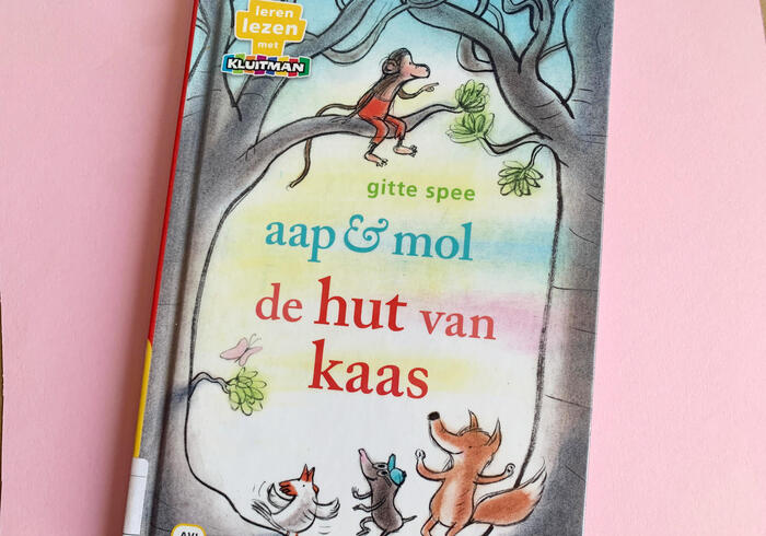 De hut van kaas