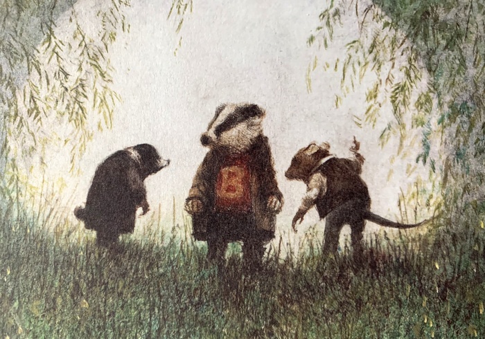 Wind In The Willows