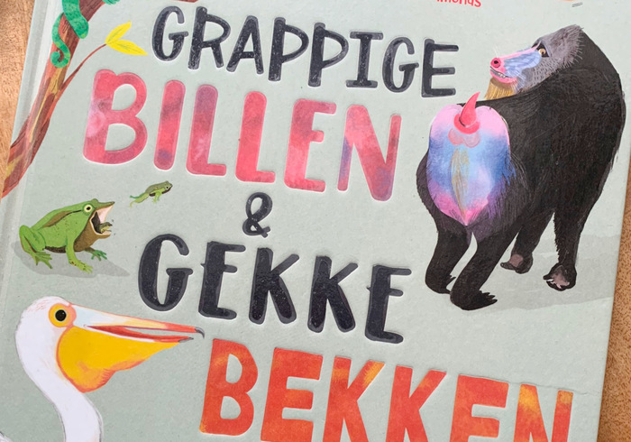Grappige Billen & Gekke Bekken