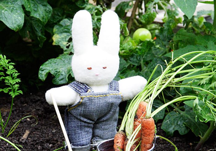 Maak zelf een moestuintje