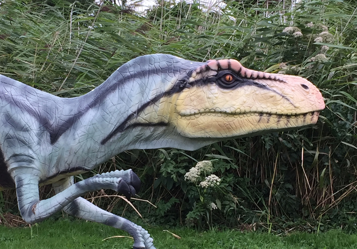 In Dino Experience Gouda
